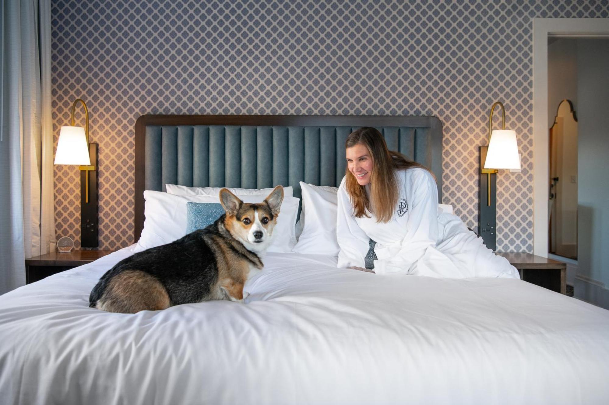 Hotel Petersburg, Tapestry Collection By Hilton Extérieur photo